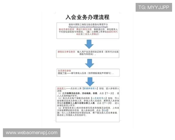 新普京真人版会员注册流程操作指南，逐步指导用户完成注册流程及资料填写技巧